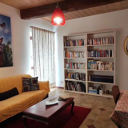 Porcaticcio, Ferienhaus Im Wald Mit Pool - B51971