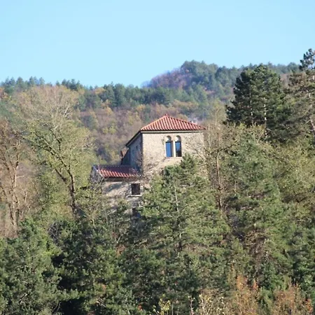 Porcaticcio, Ferienhaus Im Wald Mit Pool - B51971 Διαμέρισμα
